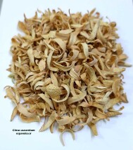 بهار نارنج